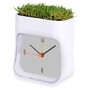 Часы настольные «Grass»